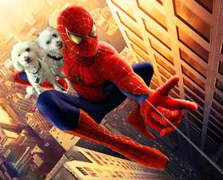 dogs-spiderman